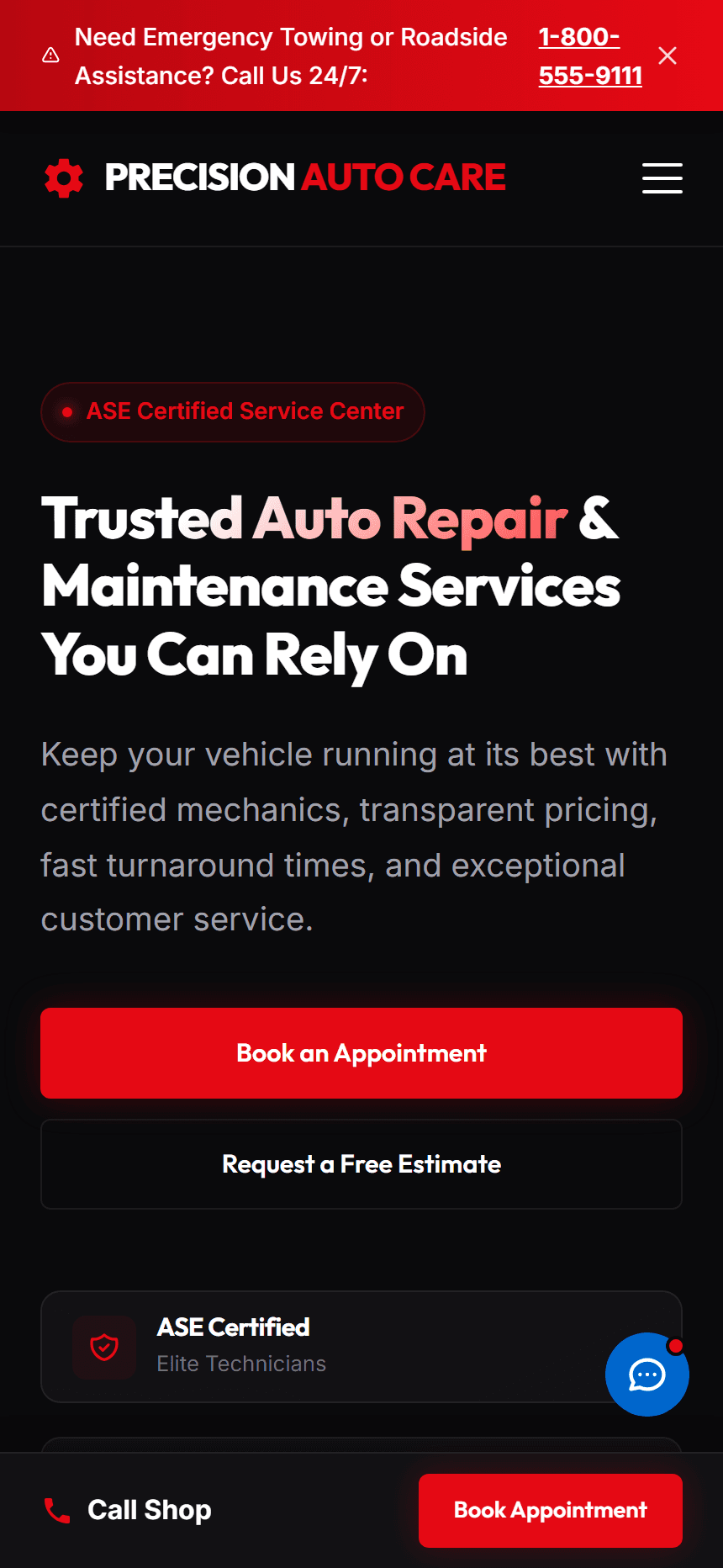 Precision Auto Care mobile preview